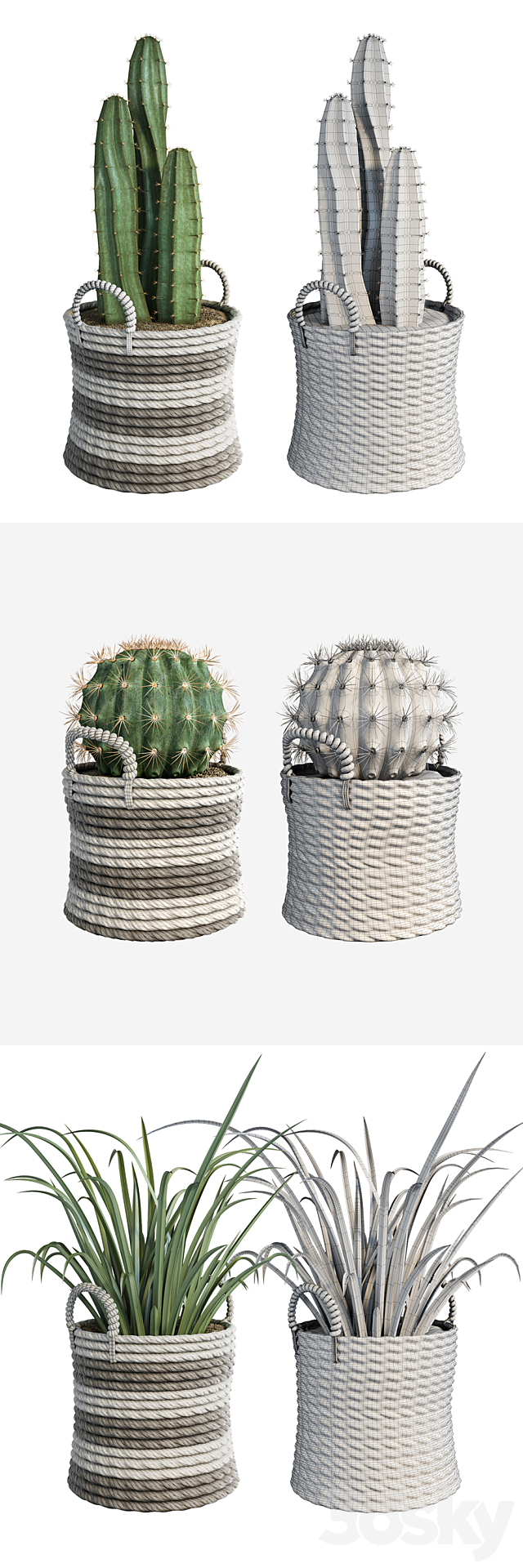 Cactus set 3DS Max Model - thumbnail 2