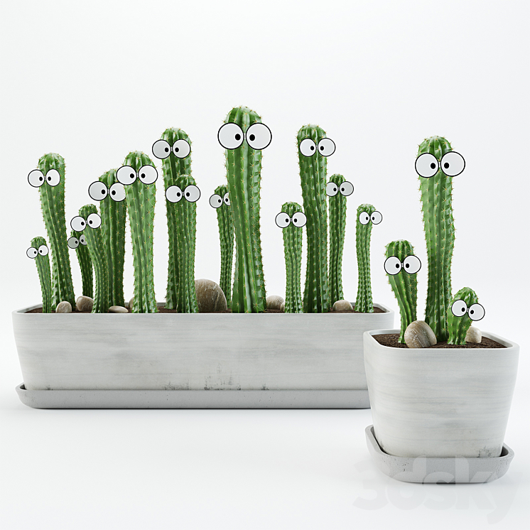 Cactus with eyes 3DS Max - thumbnail 1