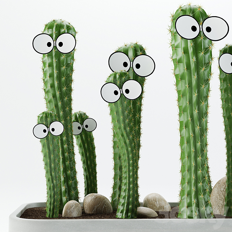 Cactus with eyes 3DS Max - thumbnail 2