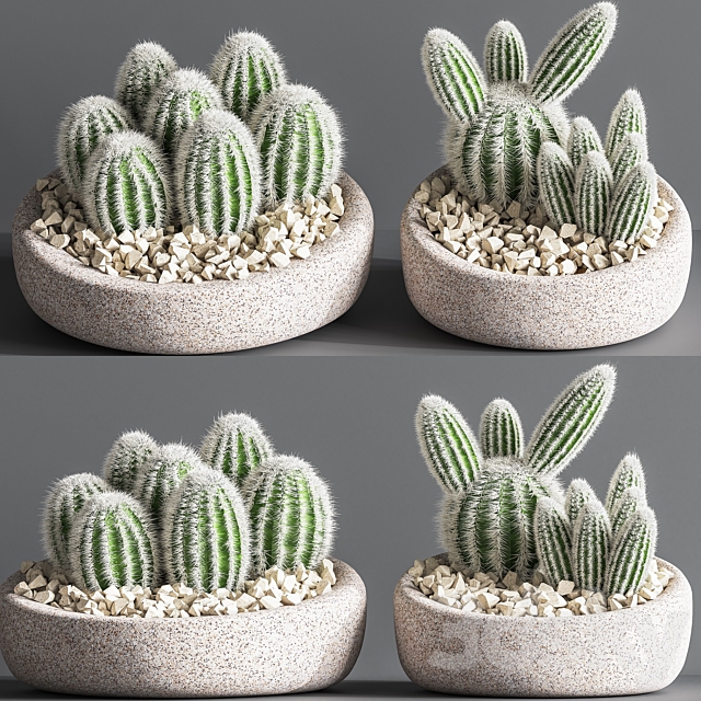 Cactus_01 3ds Max - thumbnail 1