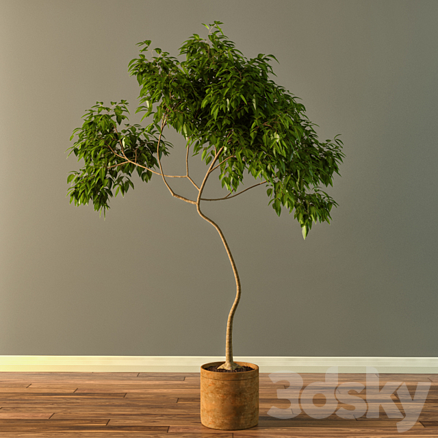 Claypot Tree 3DSMax File - thumbnail 1