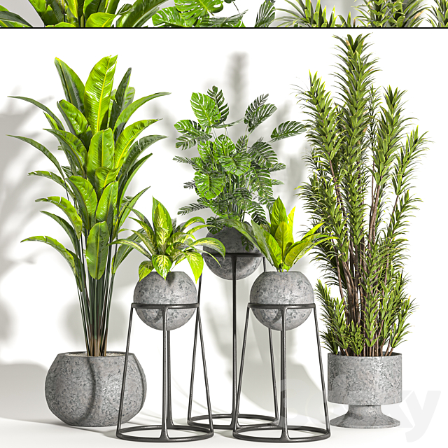 Collaction Indoor plant vol 31 3ds Max - thumbnail 3