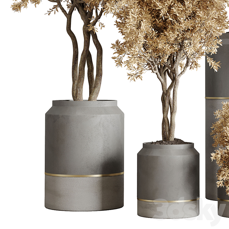 collection autumn leaves Indoor plant 128 dirty concrete pots dry plants corona 3DS Max Model - thumbnail 2