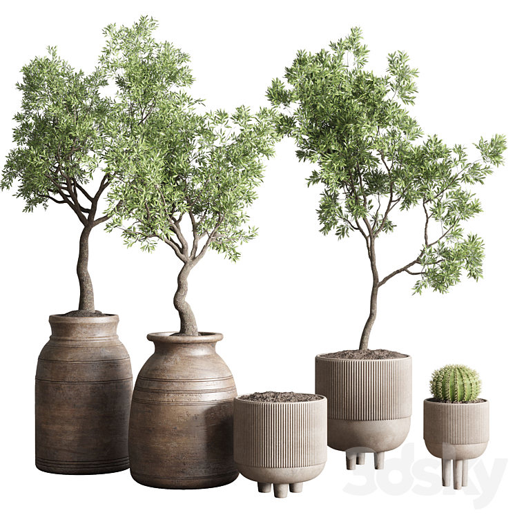 collection indoor outdoor plant 114 vase concrete wood old pot tree cactus 3DS Max Model - thumbnail 1