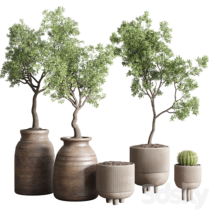 collection indoor outdoor plant 114 vase concrete wood old pot tree cactus 3DS Max - thumbnail 1