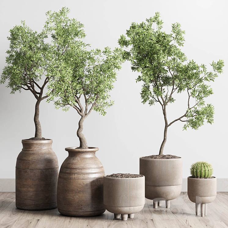 collection indoor outdoor plant 114 vase concrete wood old pot tree cactus 3DS Max - thumbnail 2