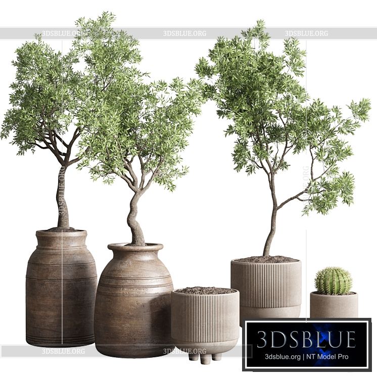 collection indoor outdoor plant 114 vase concrete wood old pot tree cactus 3DS Max - thumbnail 3