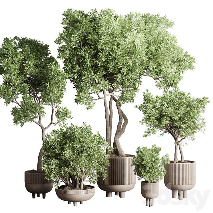 Collection Indoor Outdoor plant 118 vase concrete pot tree corona 3DS Max Model - thumbnail 1