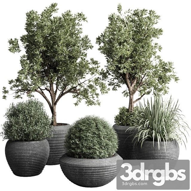 Collection Indoor Outdoor Plant 120 Plant Tree Grass Vase Dirty Concrete 3dsmax Download - thumbnail 1