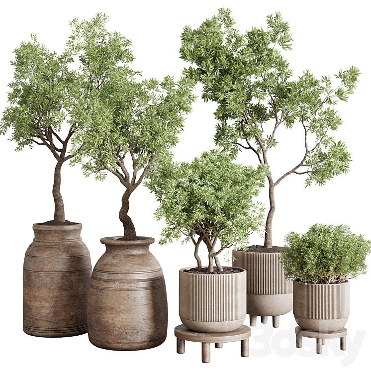 collection indoor outdoor plant 141 vase concrete wood old pot tree corona 3DS Max - thumbnail 1