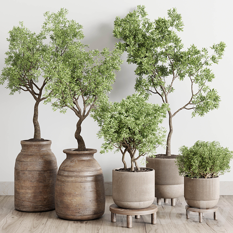 collection indoor outdoor plant 141 vase concrete wood old pot tree corona 3DS Max - thumbnail 2