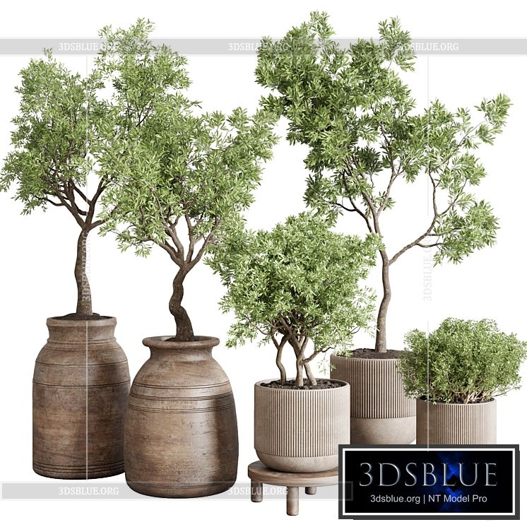 collection indoor outdoor plant 141 vase concrete wood old pot tree corona 3DS Max - thumbnail 3