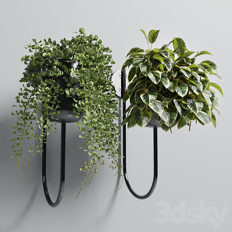 collection Indoor plant 101 vase metal stand wall plant 3DS Max - thumbnail 2