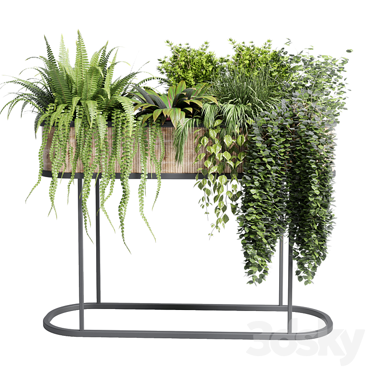 collection Indoor plant 116 stand pot bax wood vase pot fern tree grass 3DS Max Model - thumbnail 2