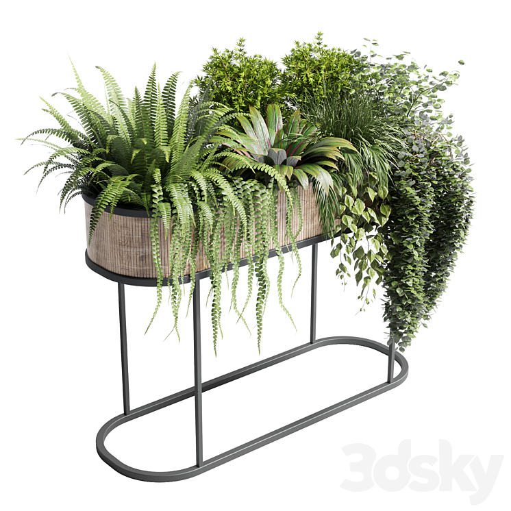 collection Indoor plant 116 stand pot bax wood vase pot fern tree grass 3DS Max - thumbnail 1