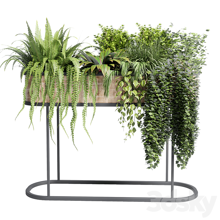 collection Indoor plant 116 stand pot bax wood vase pot fern tree grass 3DS Max - thumbnail 2