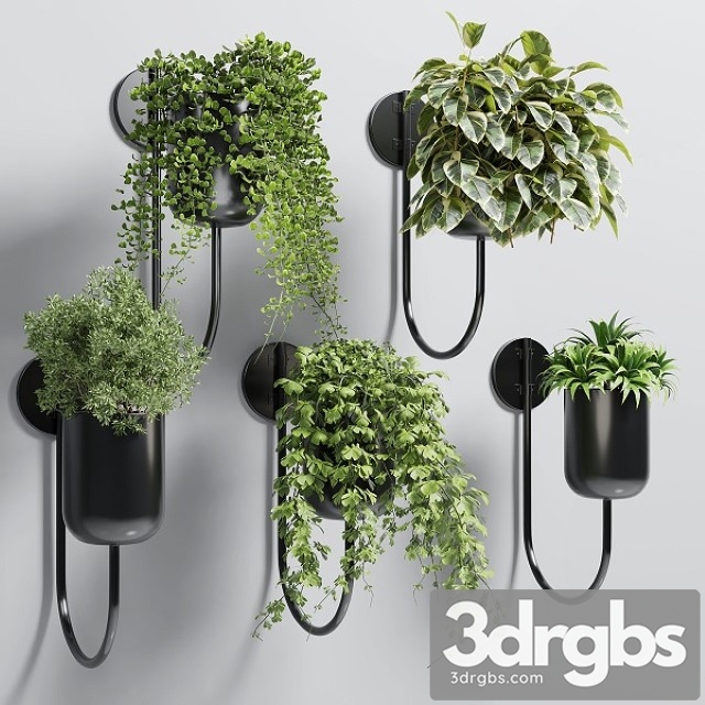 Collection Indoor Plant 135 Vase Metal Stand Wall Plant 3dsmax Download - thumbnail 1