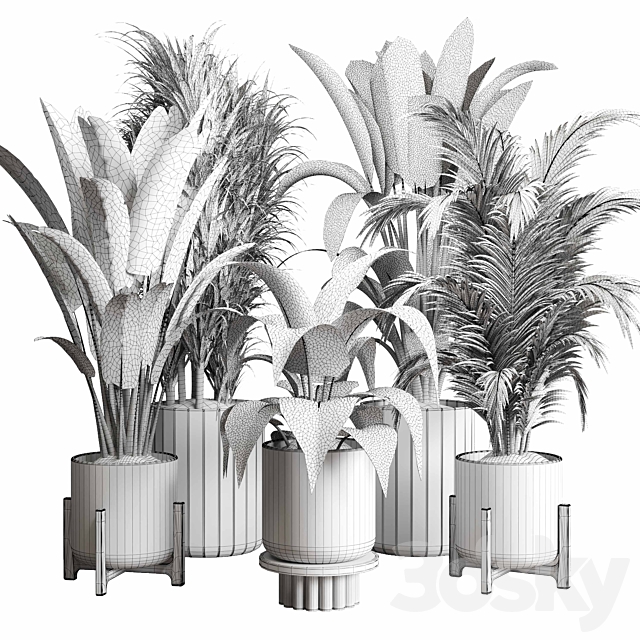 Collection indoor plant 174 pot plant ficus rubbery palm ravenala wooden vase 3DS Max Model - thumbnail 7