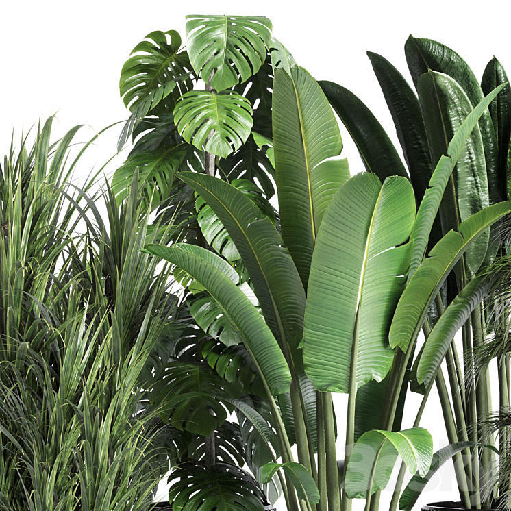 Collection indoor plant 201 plant 3DS Max Model - thumbnail 2