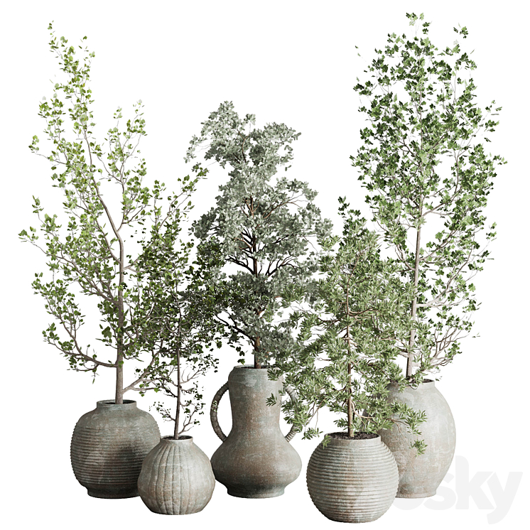 Collection indoor plant 240 pot Tree Bush Concrete Dirty Vase 3DS Max Model - thumbnail 3