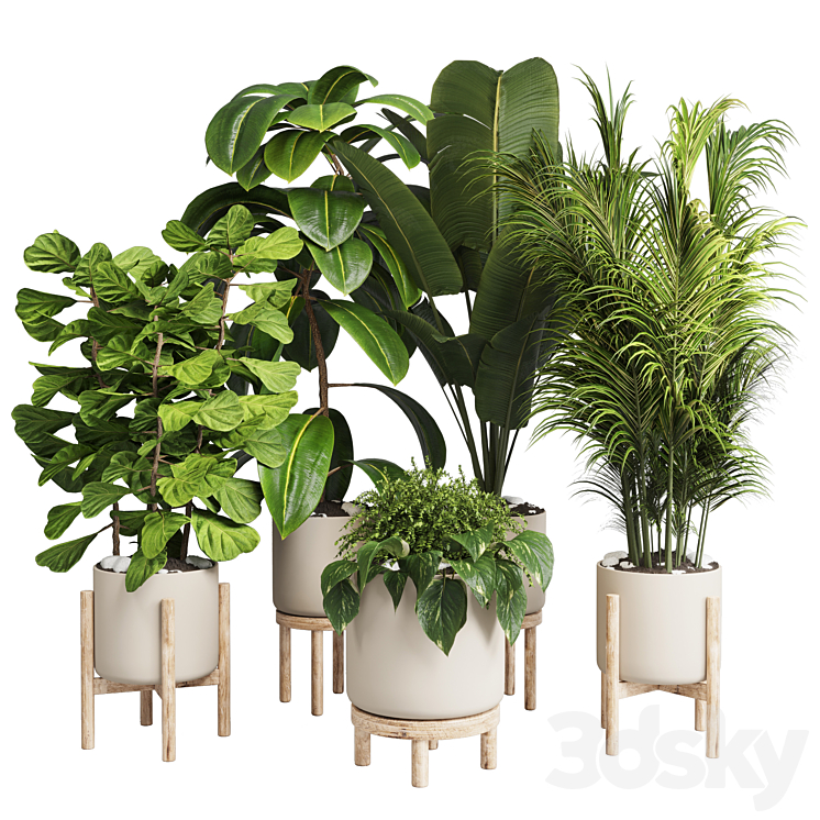 collection Indoor plant 30 -wood vase 3DS Max - thumbnail 1