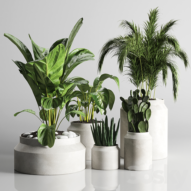 collection Indoor plant 33-concrate vase 3DS Max Model - thumbnail 3