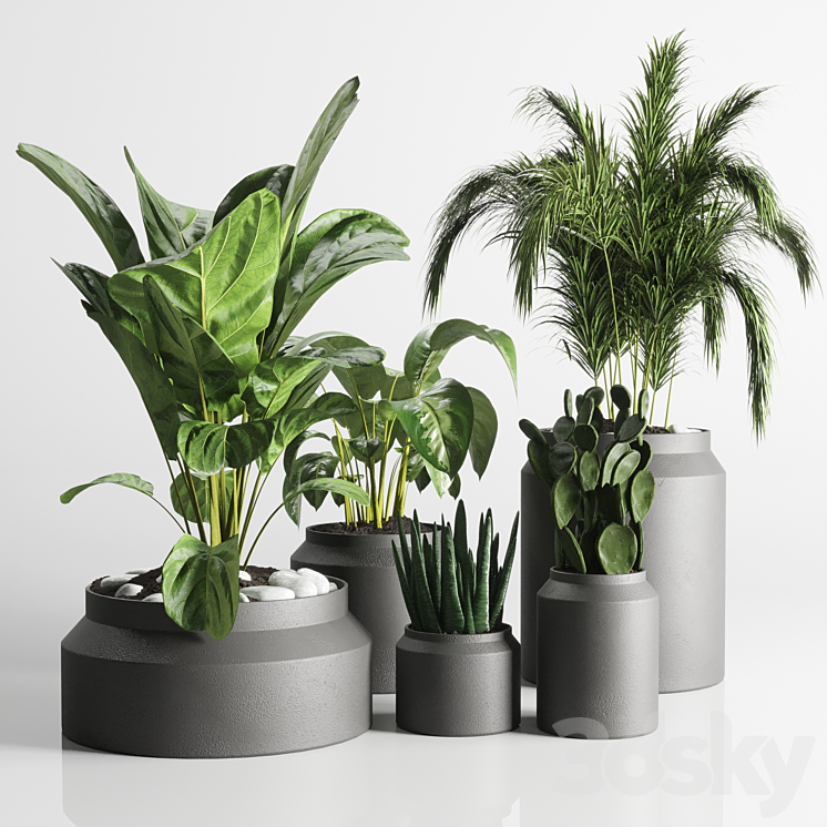 collection Indoor plant 33-concrate vase 3DS Max - thumbnail 2