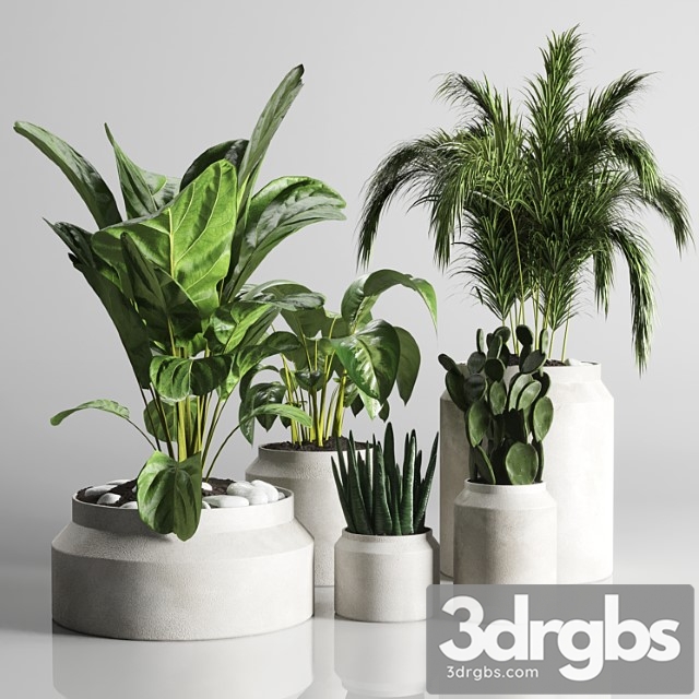 Collection Indoor Plant 33 Concrate Vase 3dsmax Download - thumbnail 1