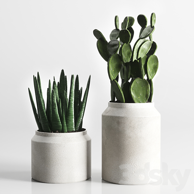 collection Indoor plant 33-concrate vase 3DSMax File - thumbnail 3