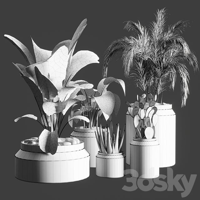 collection Indoor plant 33-concrate vase 3DSMax File - thumbnail 6