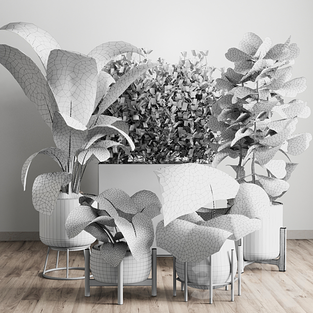 collection Indoor plant 43 vase 3DS Max Model - thumbnail 6