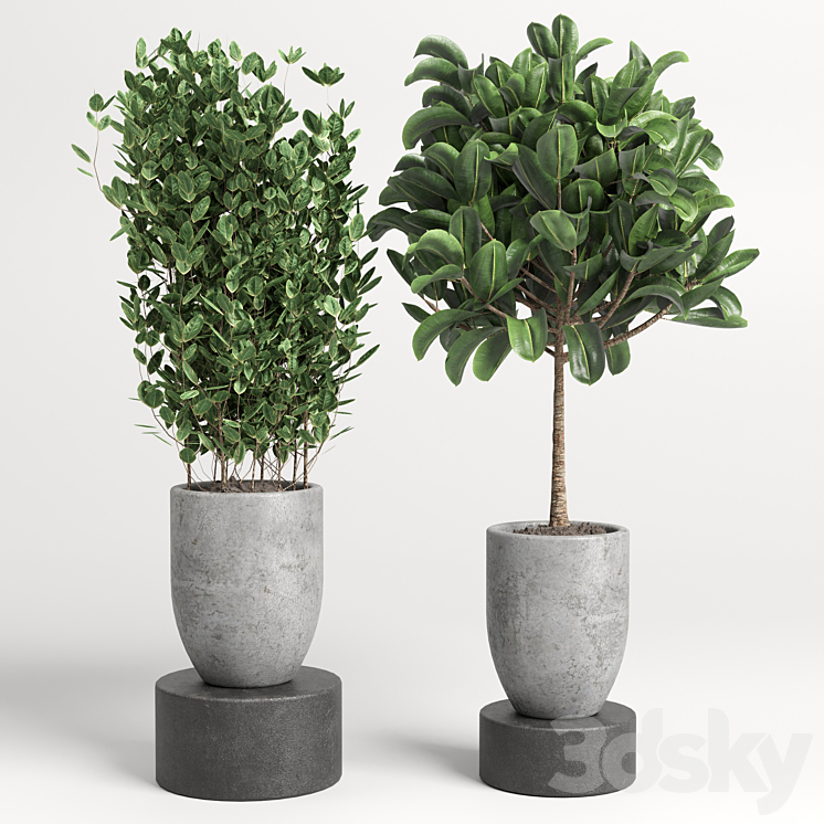 collection Indoor plant 46 vase concrete 3DS Max Model - thumbnail 2