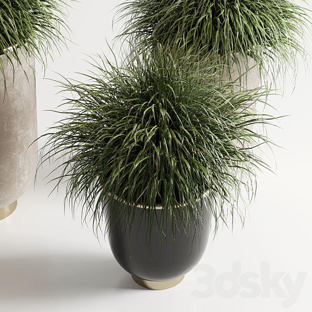 collection Indoor plant 54 vase concrete plant grass pot 3DS Max Model - thumbnail 2