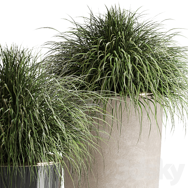 collection Indoor plant 54 vase concrete plant grass pot 3DS Max Model - thumbnail 4