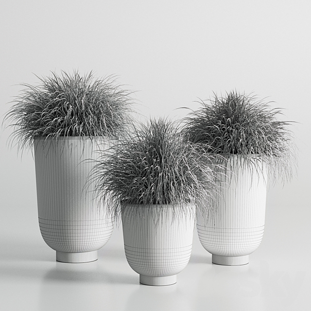 collection Indoor plant 54 vase concrete plant grass pot 3DS Max Model - thumbnail 5