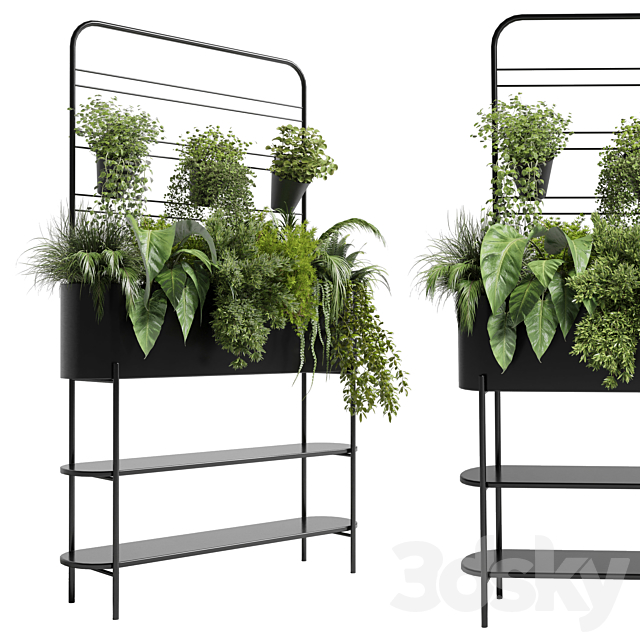 Collection Indoor plant 69 Auckland Black Metal Flower Box plant ivy fern pots 3DS Max Model - thumbnail 2