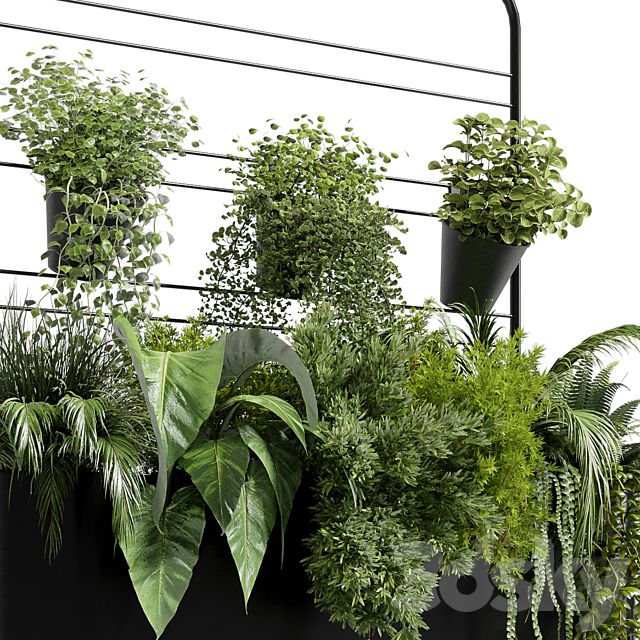 Collection Indoor plant 69 Auckland Black Metal Flower Box plant ivy fern pots 3DS Max Model - thumbnail 4