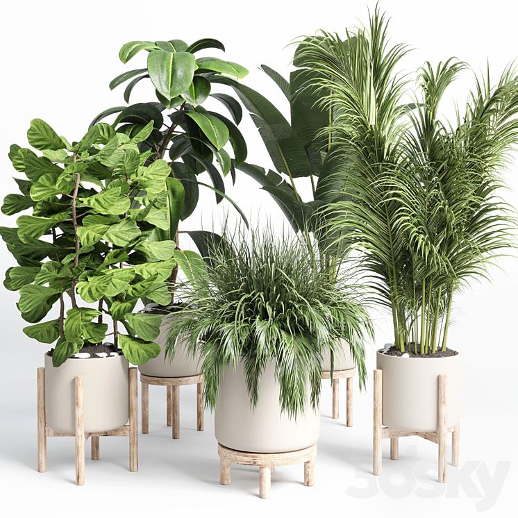 collection indoor plant 73 pot grass palm plant wood vase pot 3DS Max - thumbnail 1