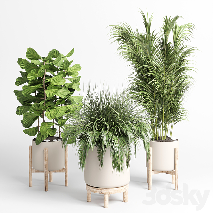 collection indoor plant 73 pot grass palm plant wood vase pot 3DS Max - thumbnail 2