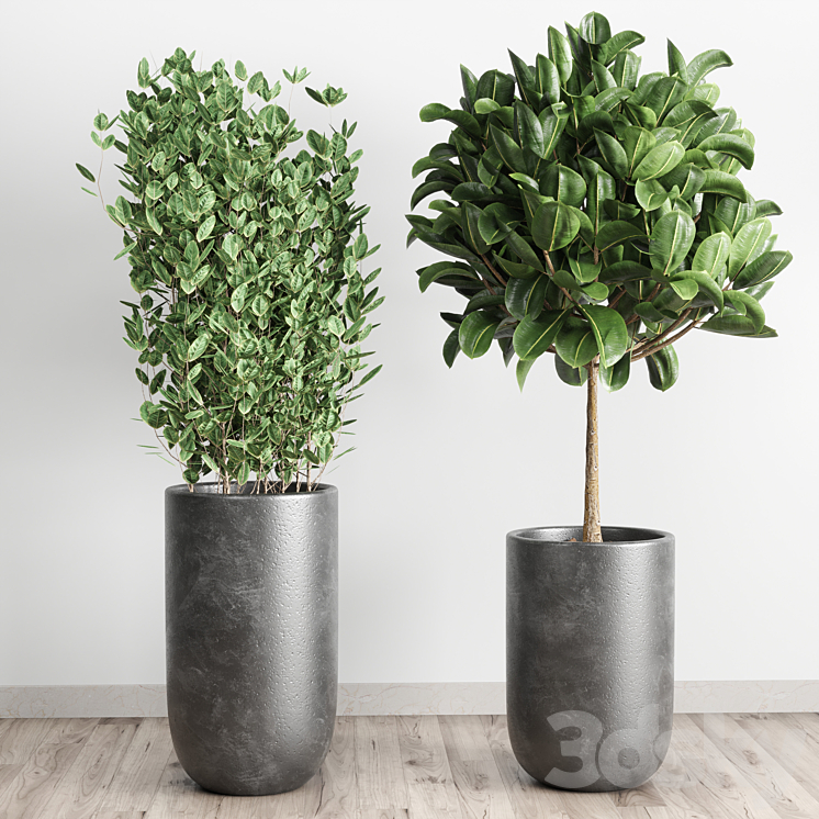 collection Indoor plant 78 pot tree plant palm concrete vase 3DS Max - thumbnail 2