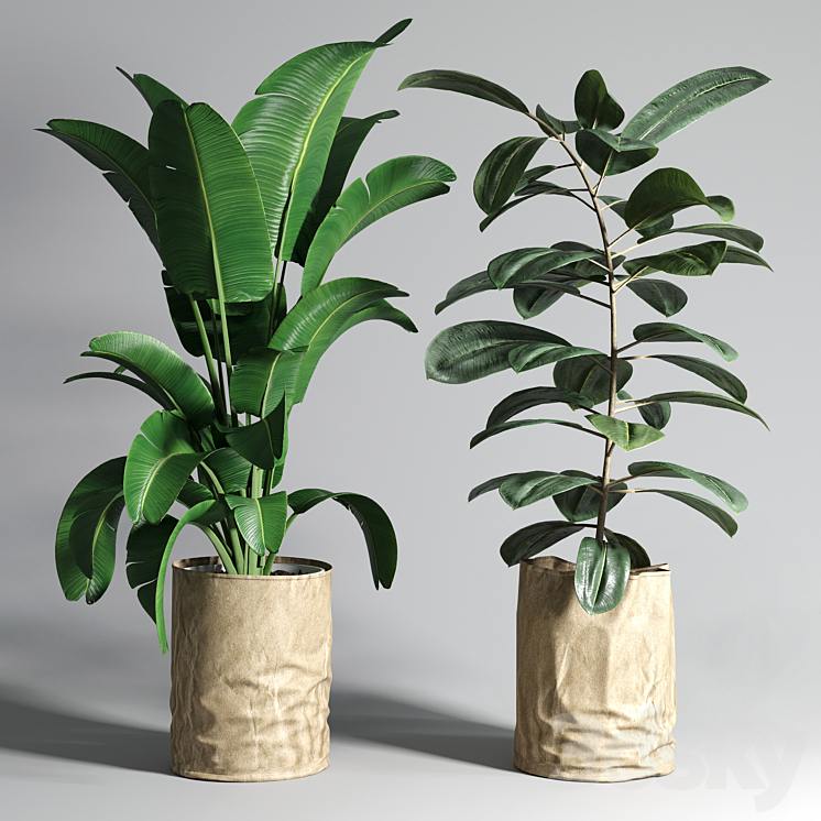 collection Indoor plant 88 paper vase envelope vase pot palnt 3DS Max Model - thumbnail 3