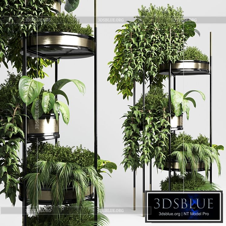 collection Indoor plant plant stairs stand metal vase 10 3DS Max - thumbnail 3