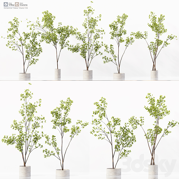 Collection Indoor Plants 033 3DS Max Model - thumbnail 3