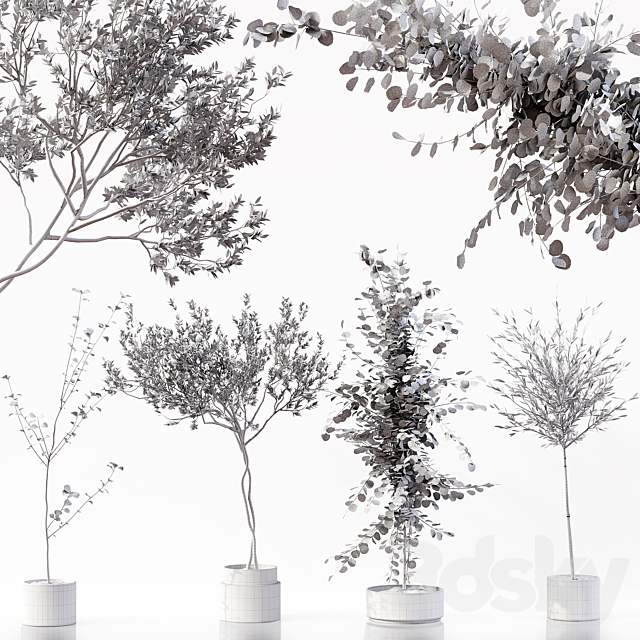 Collection Indoor Plants 052 3DS Max Model - thumbnail 6