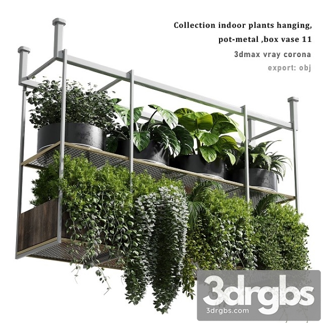 Collection Indoor Plants Hanging Pot 3dsmax Download - thumbnail 1