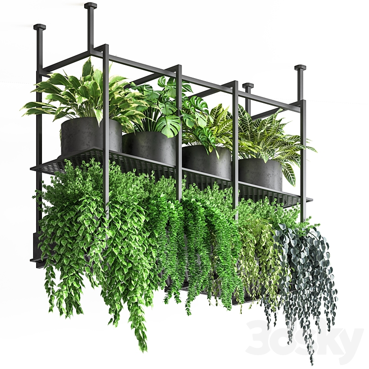 collection Indoor plants hanging pot metal 01 3DS Max - thumbnail 1