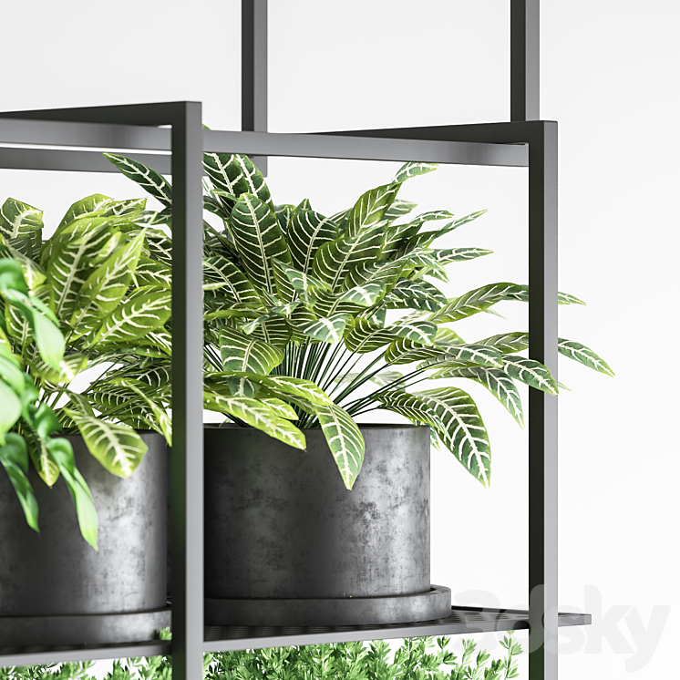 collection Indoor plants hanging pot metal 01 3DS Max - thumbnail 2