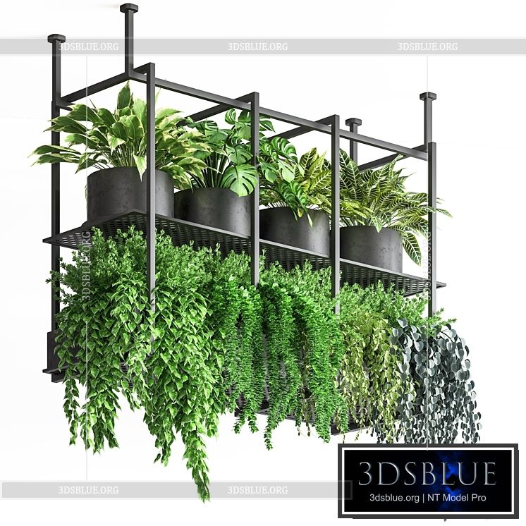 collection Indoor plants hanging pot metal 01 3DS Max - thumbnail 3