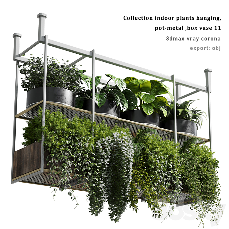 collection Indoor plants hanging pot-metal bax vase 11 3DS Max - thumbnail 1