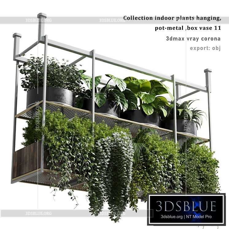 collection Indoor plants hanging pot-metal bax vase 11 3DS Max - thumbnail 3